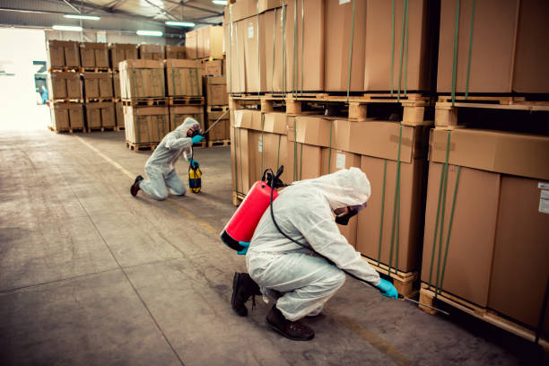 Best Wasp Removal Services  in Cheswick, PA