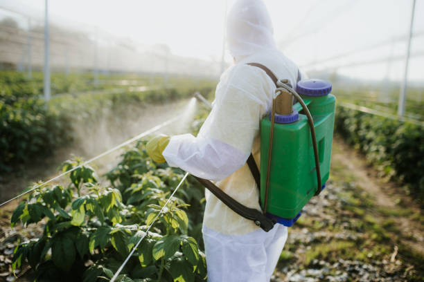 Best Bed Bug Extermination  in Cheswick, PA